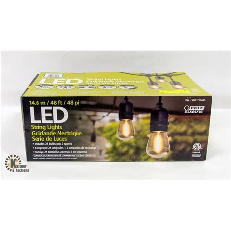 Image result for Installing Feit String Lights