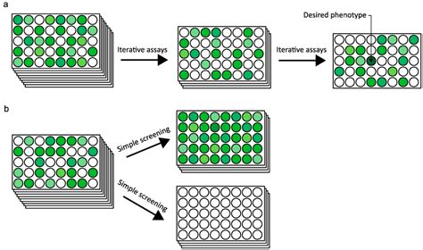 IJMS | Special Issue : Protein Engineering