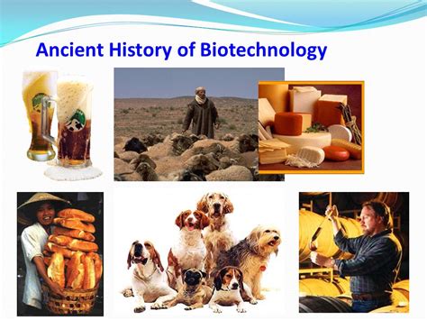 Ancient Biotechnology 的图像结果