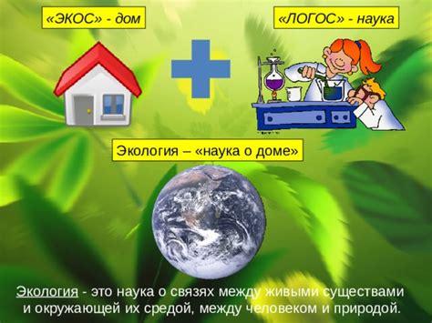 Что такое Экология? Правила поведения на природе