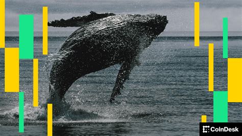 Ether (ETH) News: Ether Whale Books $45M Loss as ETH Falls Below $4K