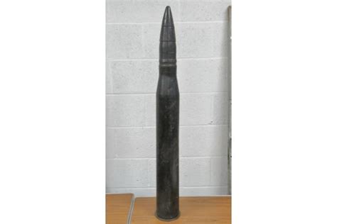 Image result for Ancient Tiger Shell