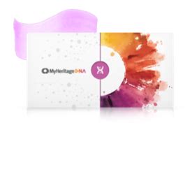 About MyHeritage | Company History and Culture