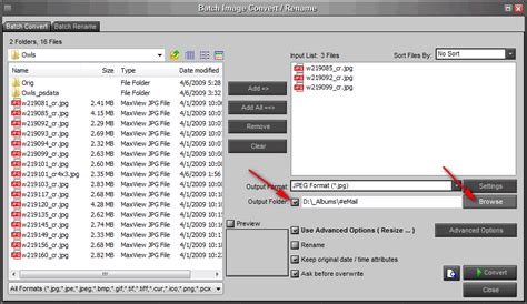 Image result for Batch Convert Images with FastStone