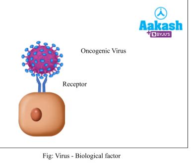 Cancer Causes, Treatment, Diagnosis, Types & Tumours Cells - Biology ...
