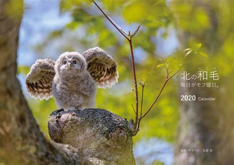 2020年カレンダー『北の和毛（にこげ）〜毎日がモフ曜日。』 | laccio photography
