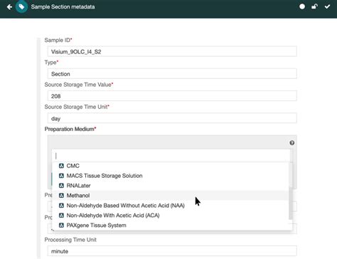 Metadata Template 的图像结果