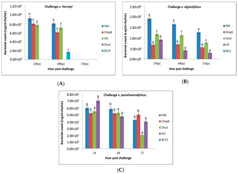 Elucidating the Efficacy of Vaccination against Vibriosis in Lates ...