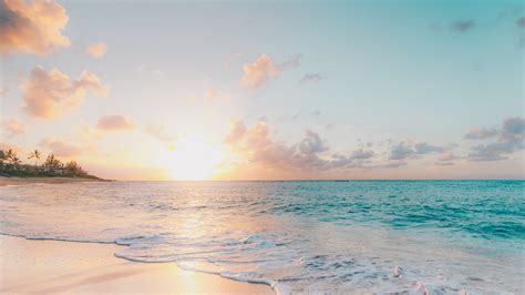 Image result for Zoom Background Screen