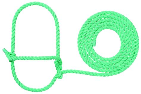 Weaver Leather Livestock Cattle Rope Halter, Mint : Amazon.in: Pet Supplies