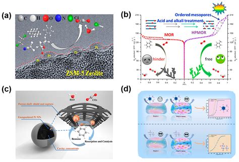 Microenvironment Regulation in Zeolite-Based Catalysts for Selective ...