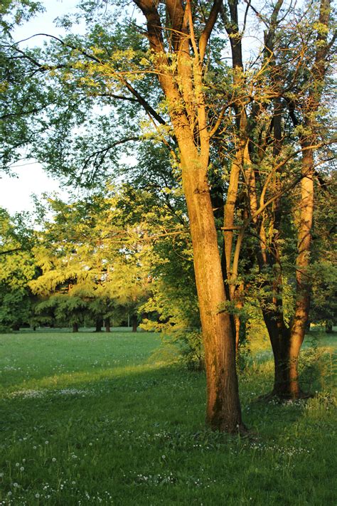 Environment Animated 的图像结果