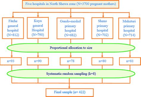 Image result for Sampling and Sampling Procedure