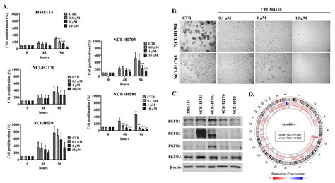p38 Mediates Resistance to FGFR Inhibition in Non-Small Cell Lung Cancer