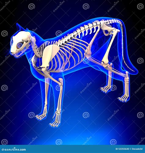Image result for Computer Text Tool