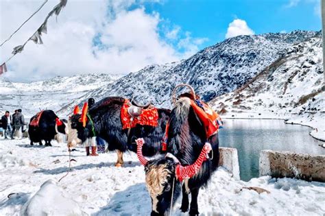 5 best places to visit in Sikkim | Drivetonortheast