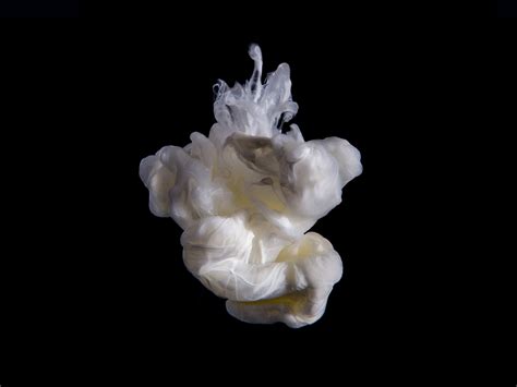 Computer Science Magazine 的图像结果