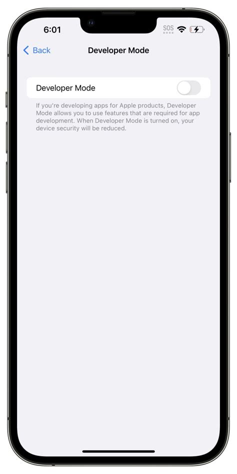 How to Find Developer Options On iPhone 的图像结果