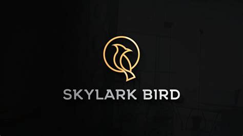 Image result for Bird Logo Intro Vedio Tutorial