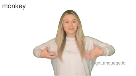 Monkeys Learning Sign Language 的图像结果