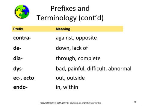 Medical Terminology Chapter 4 | PPT