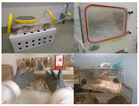 Using a Model of Germ-Free Animals to Study the Impact of Gut ...