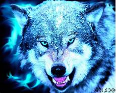 Wolf Wallpaper Blue by Wolf Wallpaper And Background Image 1280x1024 Id Wolf Wallpaper Blue