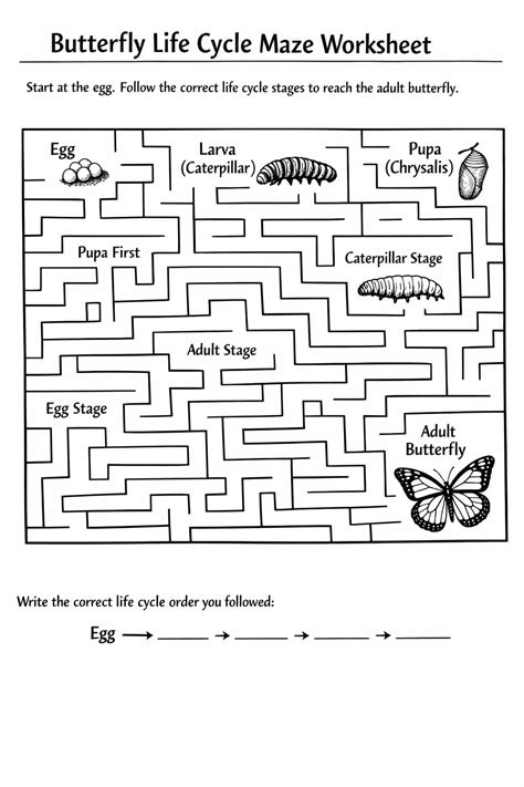 Butterfly Life Cycle Labeling Worksheet - Download & Print Now!