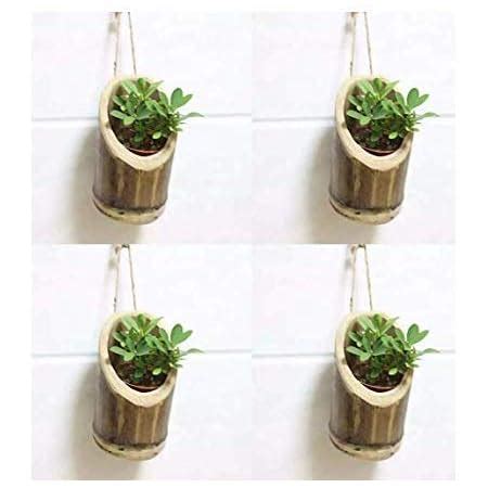 COIR GARDEN - Hanging Bamboo Planters with Adjustable Rope - Bamboo ...