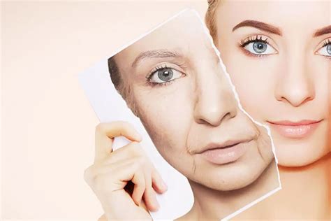 Aging Signs 的图像结果