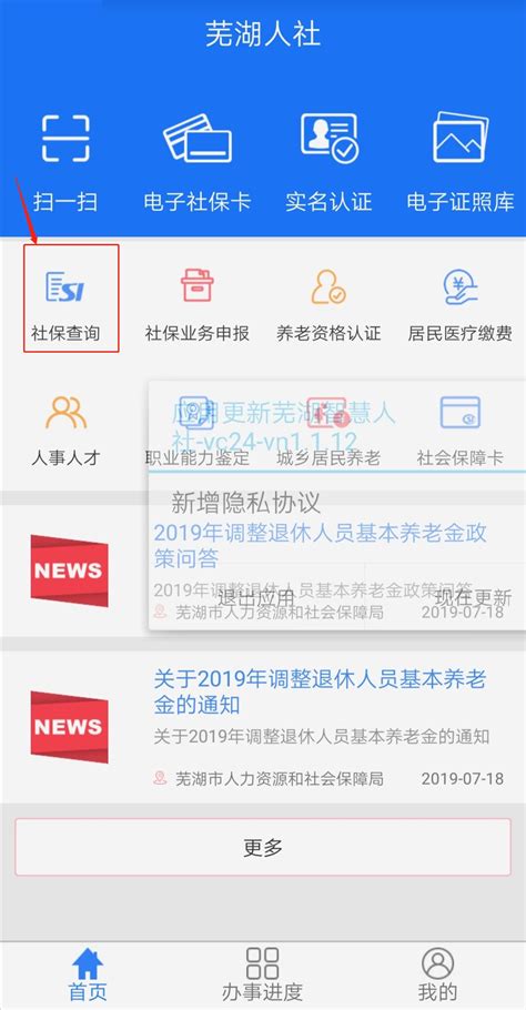 芜湖怎么样在网上查询社保缴纳信息_芜湖网