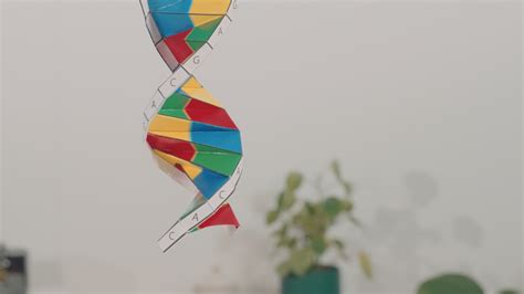 Image result for DNA Origami Applications