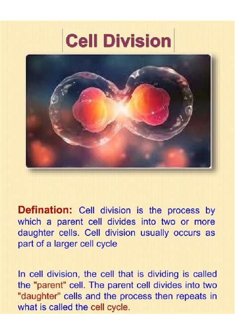 Free Lesson Biology Cell Divison 的图像结果
