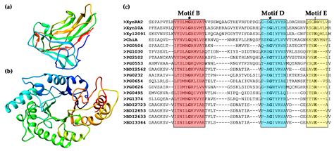 Characterizing a Halo-Tolerant GH10 Xylanase from Roseithermus ...