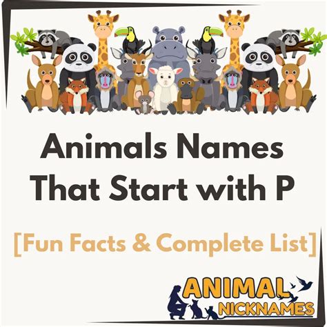 Animals Names That Start with B [Fun Facts & Complete List] – Animal ...