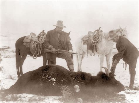 Buffalo Hunts Montana: Guided Tours & Trophy Hunting
