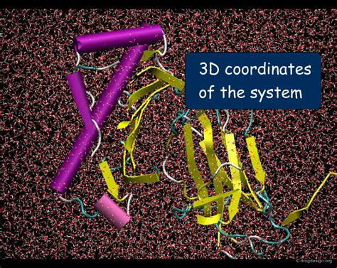 Image result for Molecular dynamics Applications