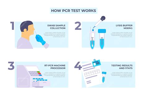 How Is PCR Test Done 的图像结果