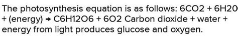 complete the reaction 6CO2+6O2= - Brainly.in