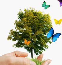 GTPL-Business Solutions | IT Services | Telecom | Website Development