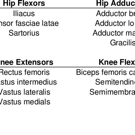 Image result for Muscle Groups and Functions