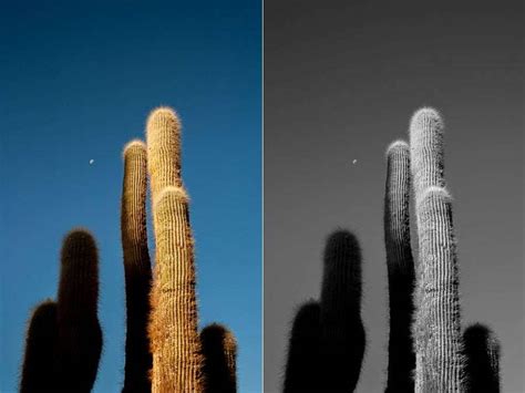 Three Ways You Can Convert Images to CMYK
