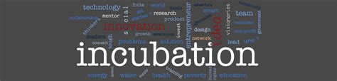 INCUBATION SCHEME