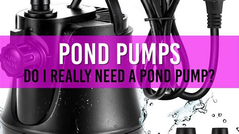 Using Pool Pump for Pond Pump 的图像结果