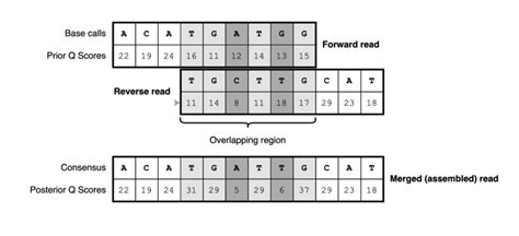 Rezultat imagine pentru Consensus Sequence Example