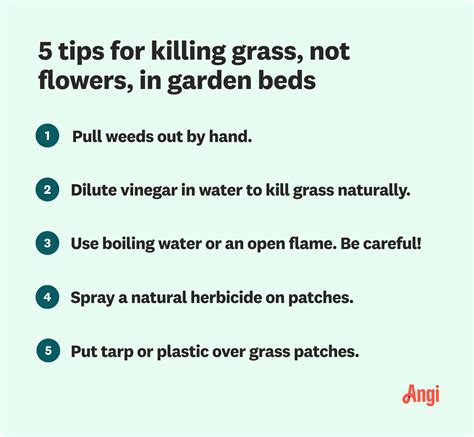 Removing Grass For Flower Bed Flower Beds Overgrown With Grass How
