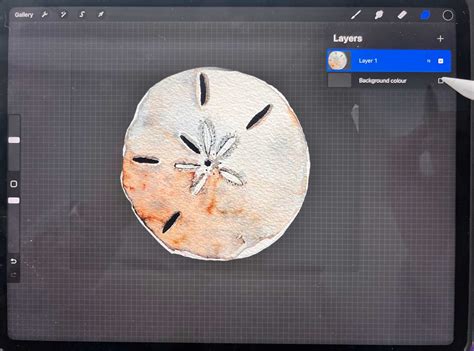 Image result for Remove Objects From Photo Procreate