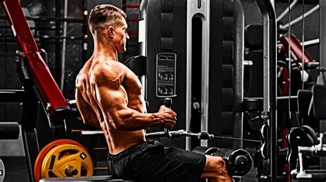 Image result for Cable Row Variations