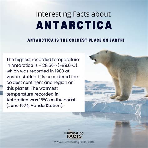Interesting Facts about Antarctica - Illuminating Facts