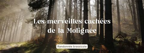 Randonnée brassicole "Les merveilles cachées de la Molignée" , Abbaye ...